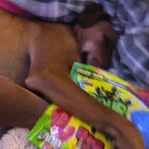 Meet your Posher, Peyton